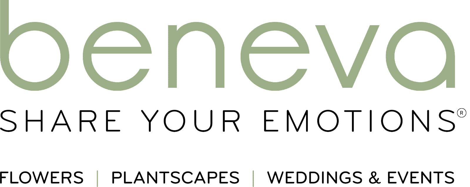 Isidoro Alvarez Net Worth Compared: Who is Richer?